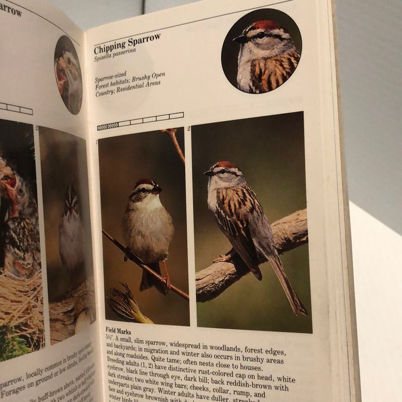 Audubon Handbook