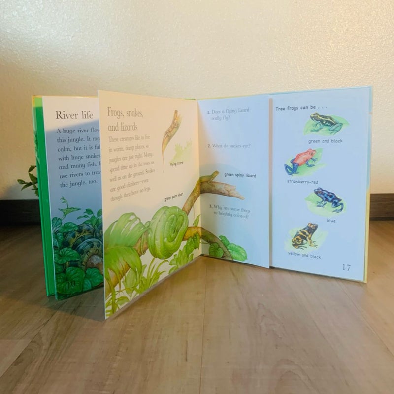 Flip the Flaps: Jungle Animals