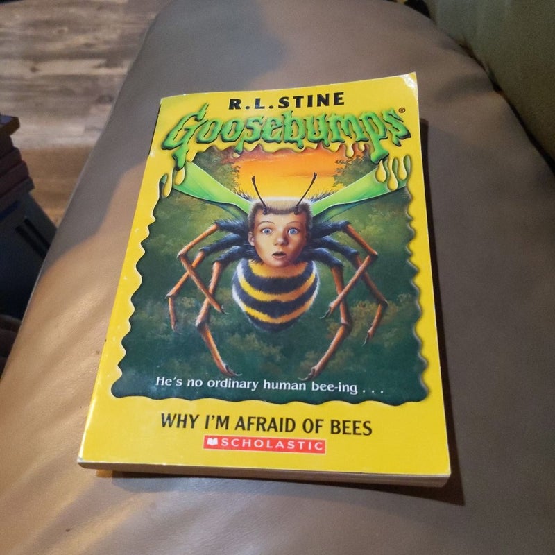 Why I'm Afraid of Bees