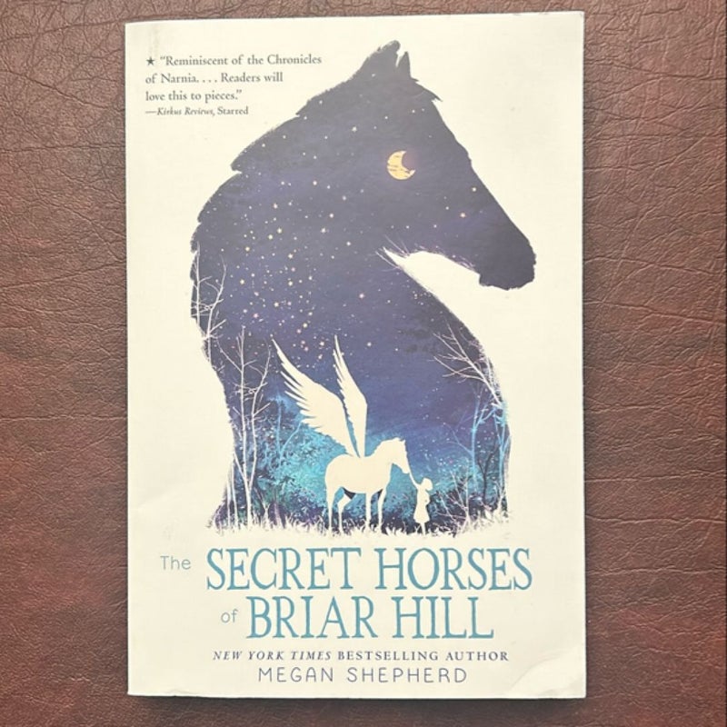 The Secret Horses of Briar Hill