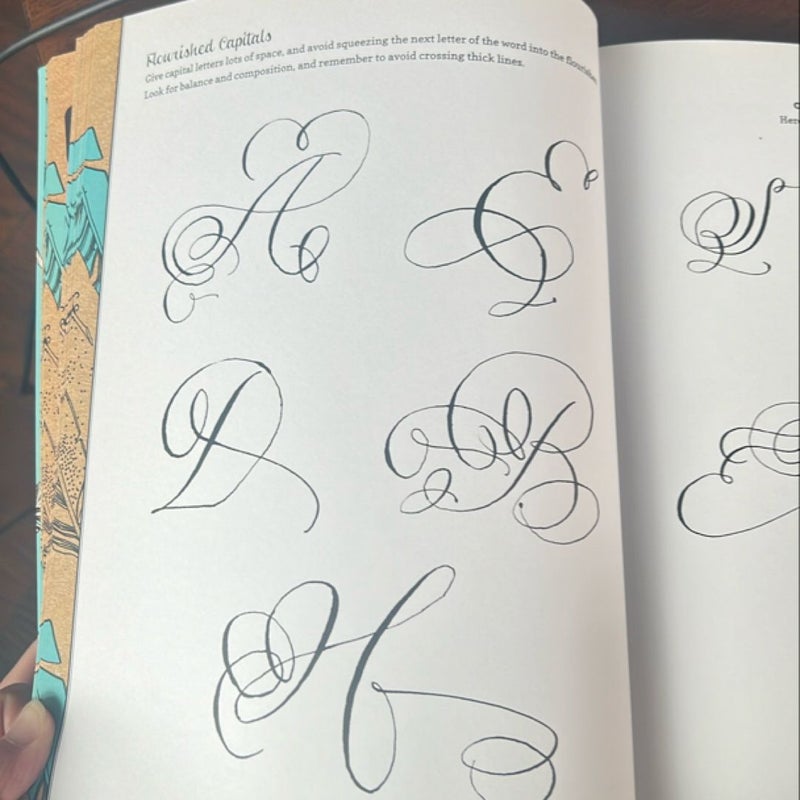 Creative Lettering and Beyond