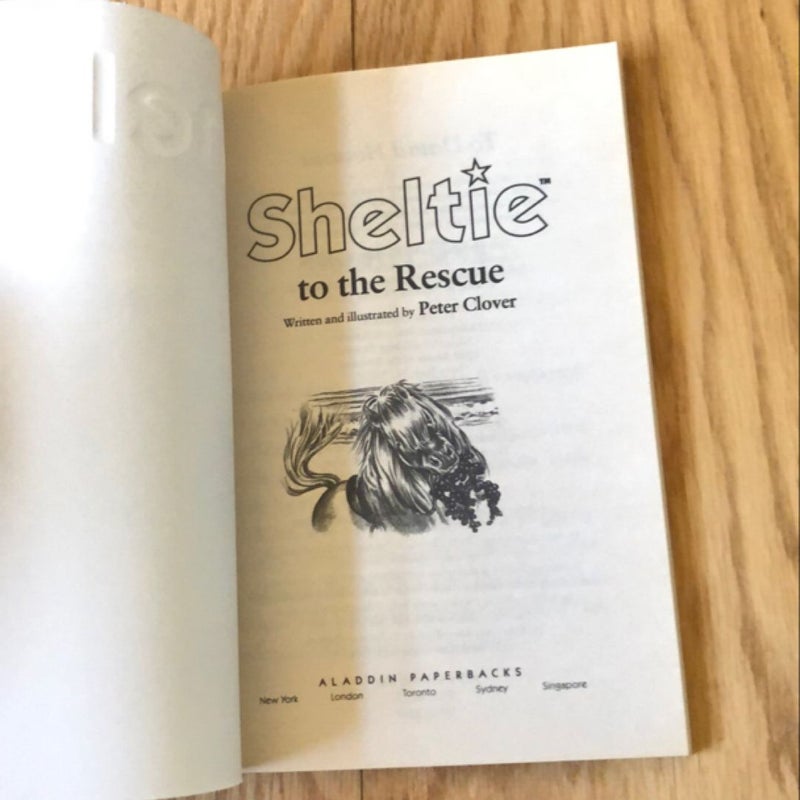 Sheltie to the Rescue