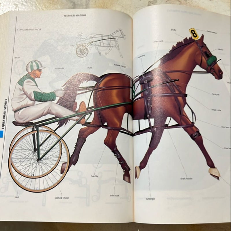 Macmillan Visual Dictionary