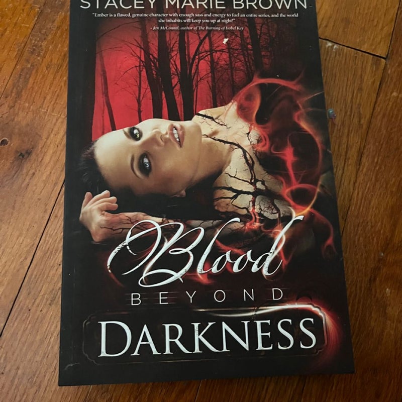 Blood Beyond Darkness, Book #4