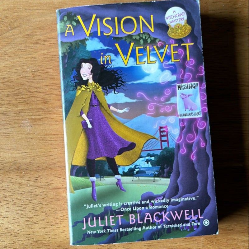 A Vision in Velvet