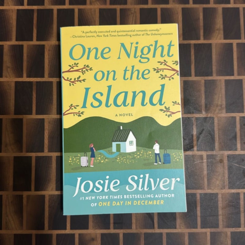 One Night on the Island