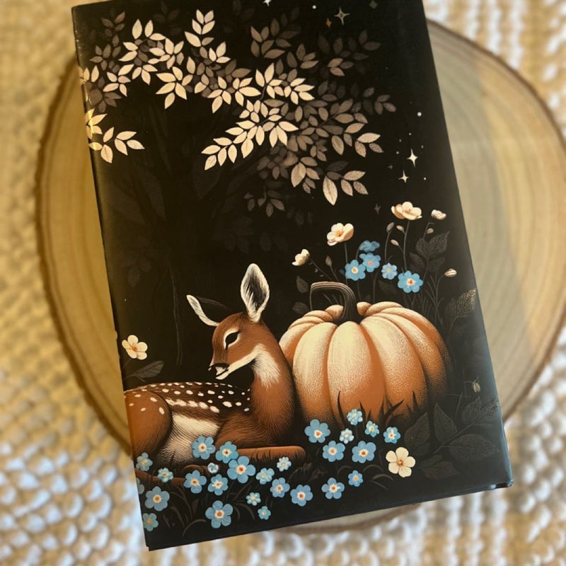 Rise of the Cinder Fae - Unplugged Book box