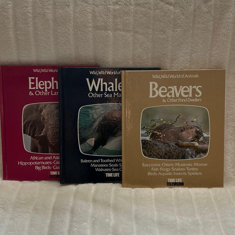 Wild,Wild World of Animals: Lot of 15 books