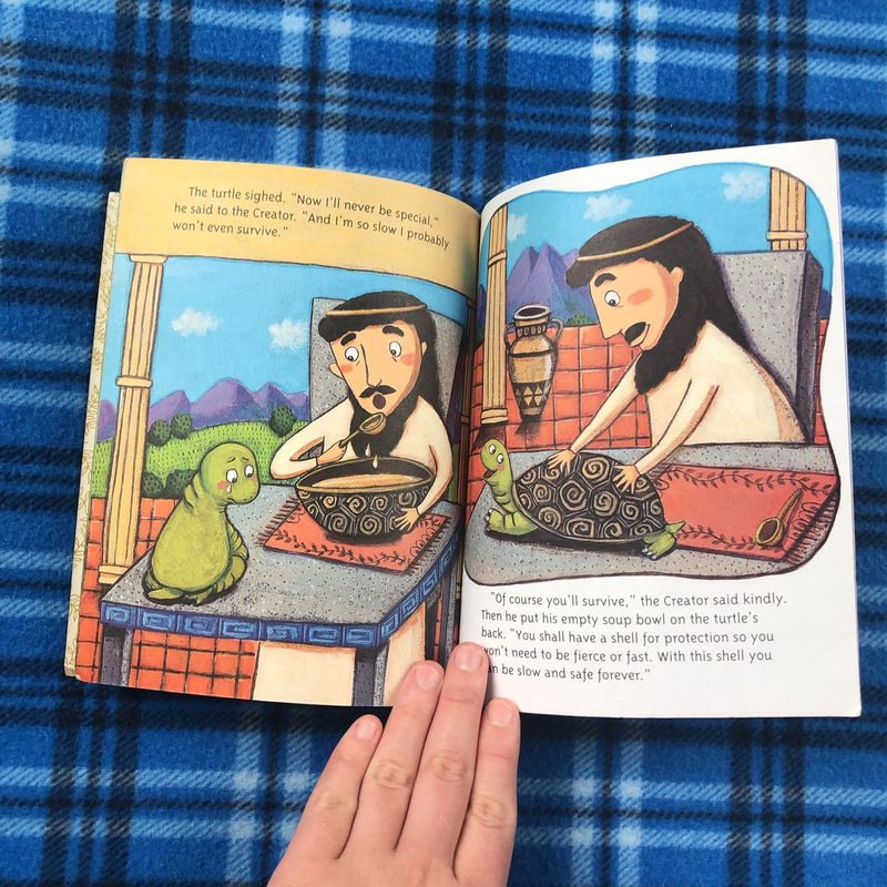 How the Turtle Got Its Shell by Justine Fontes, Hardcover | Pangobooks