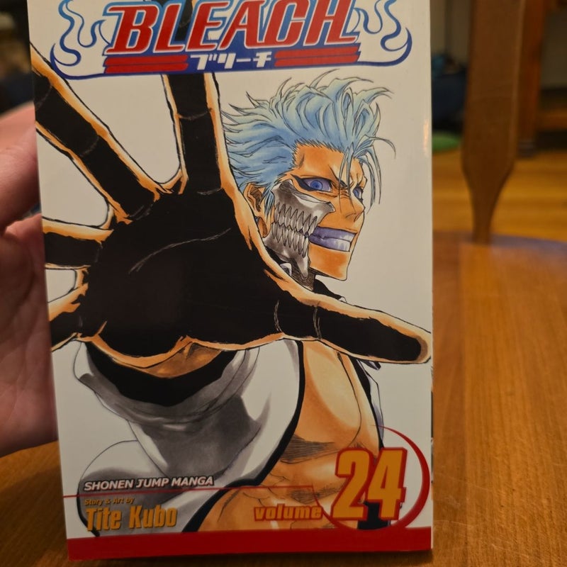 Bleach, Vol. 24