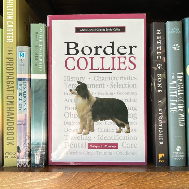 Border Collies