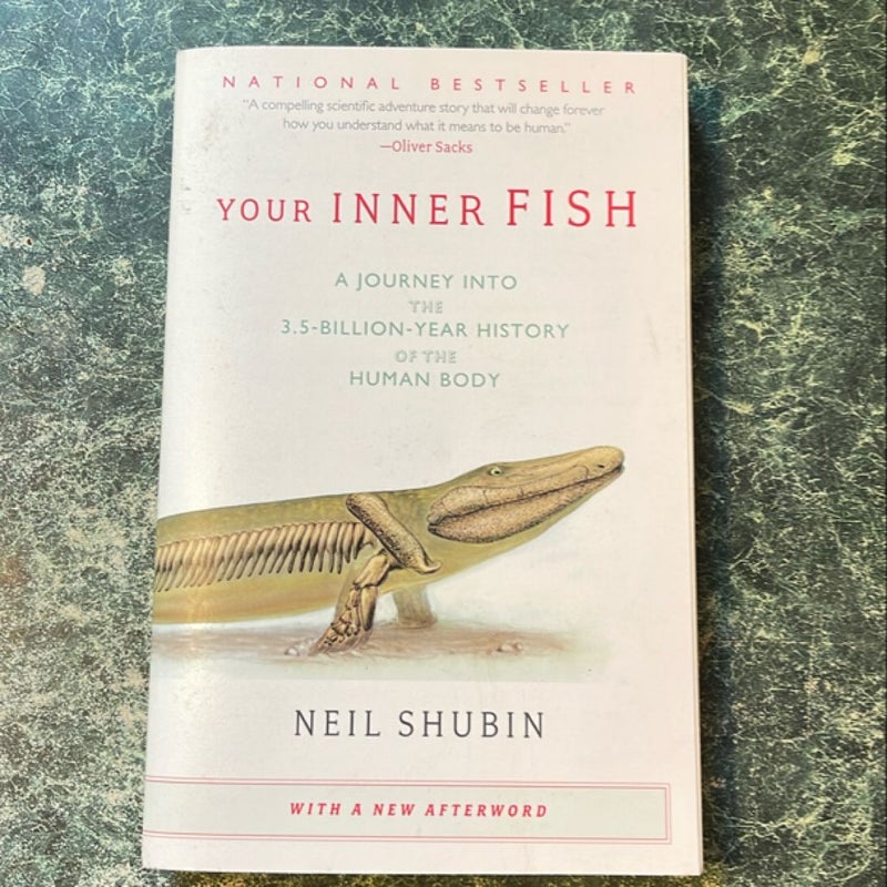 Your Inner Fish