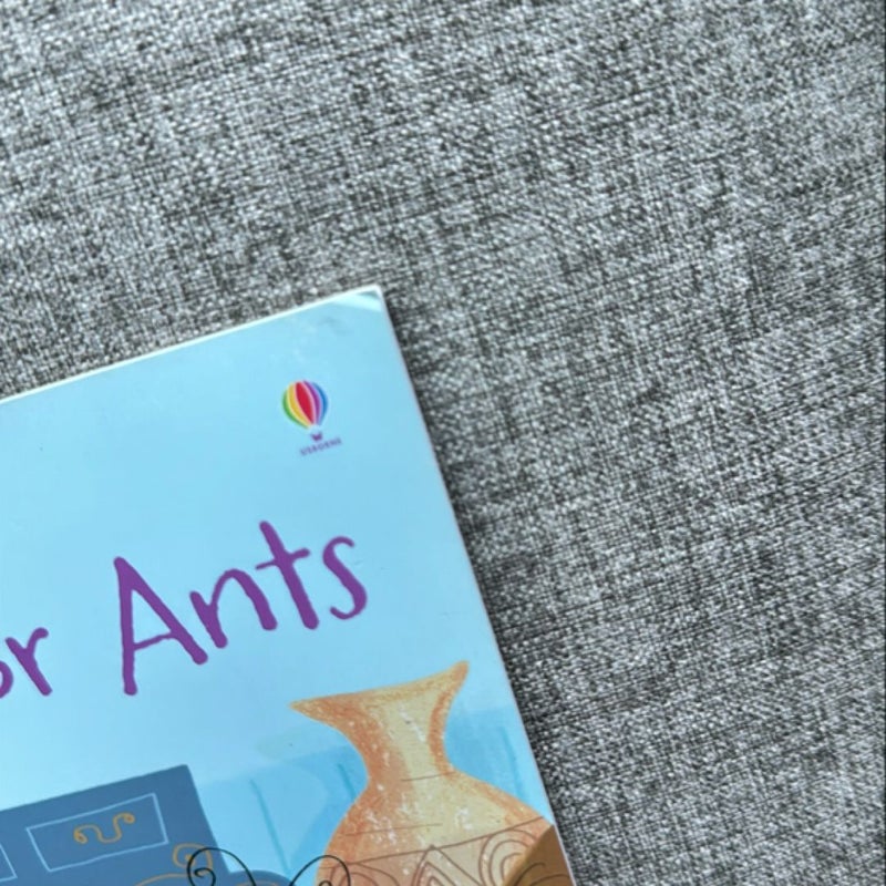 2 Usborne Phonics Readers