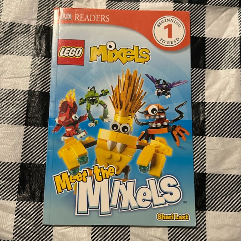 Fly Guy, Lego and Others Bundle