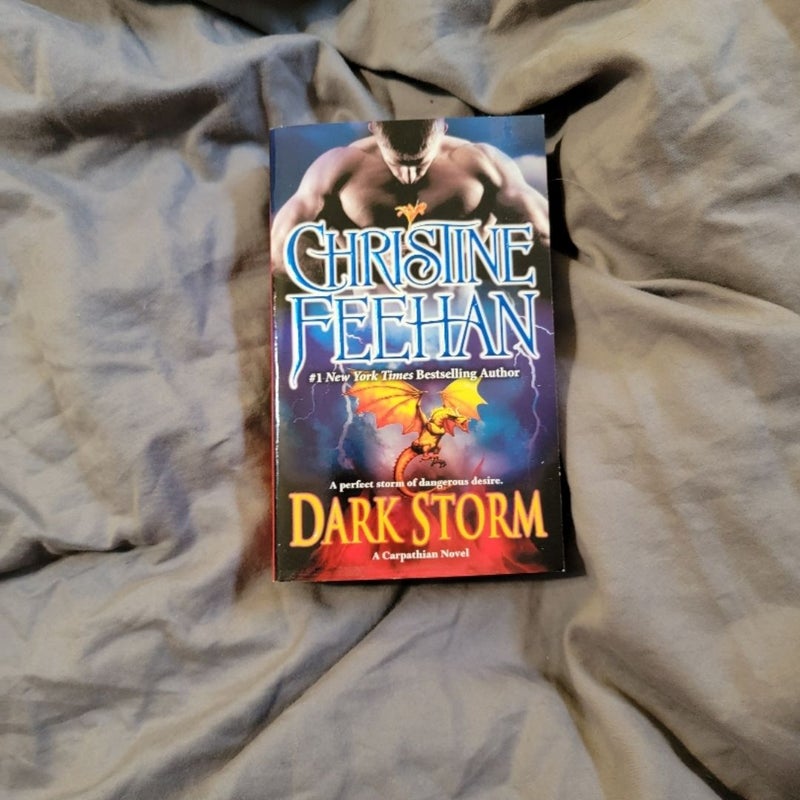 Dark Storm