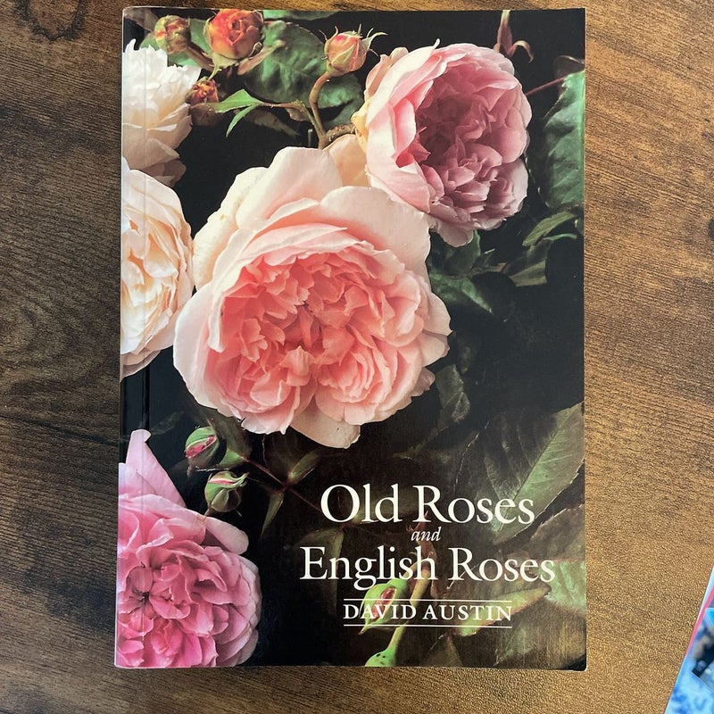 Old Roses and English Roses