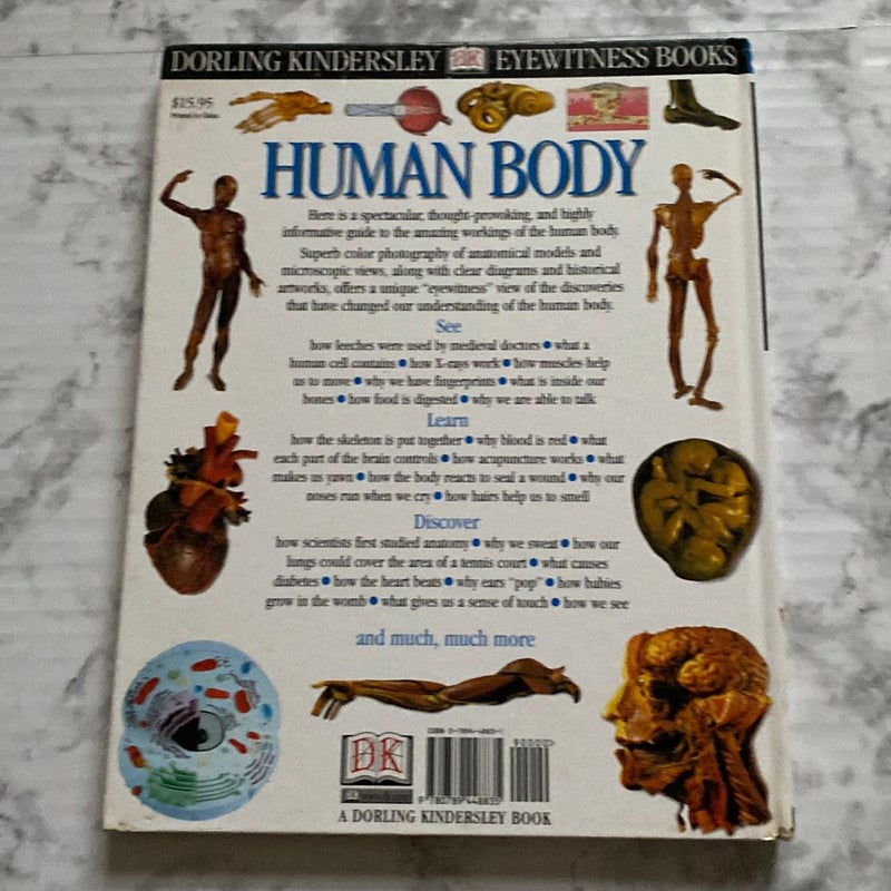 Human Body