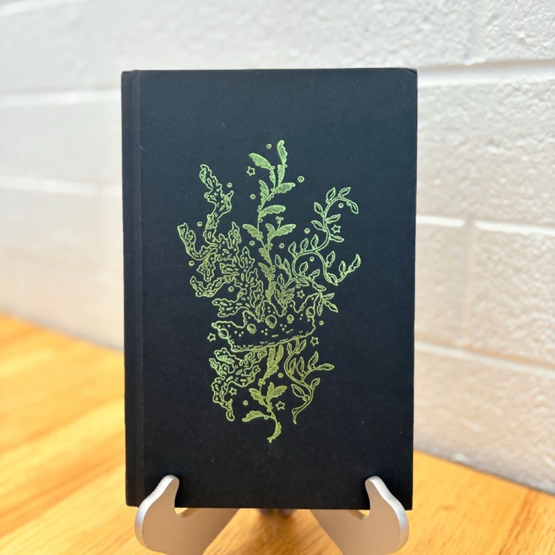 The Wicked King (FIRST EDITION)