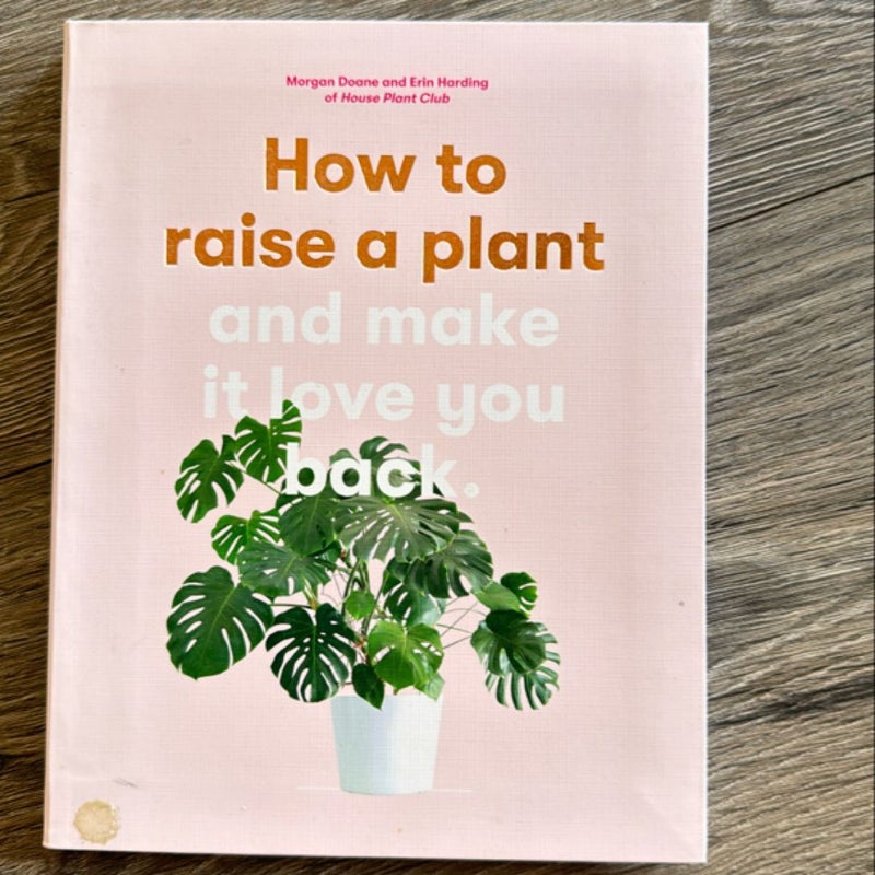 How to Raise a Plant