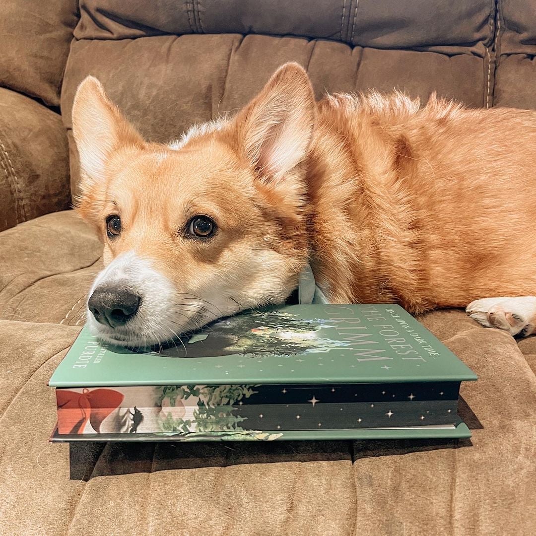 Corgi.Reads.Books