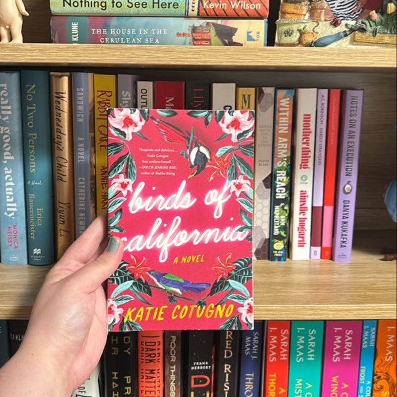 Birds of California