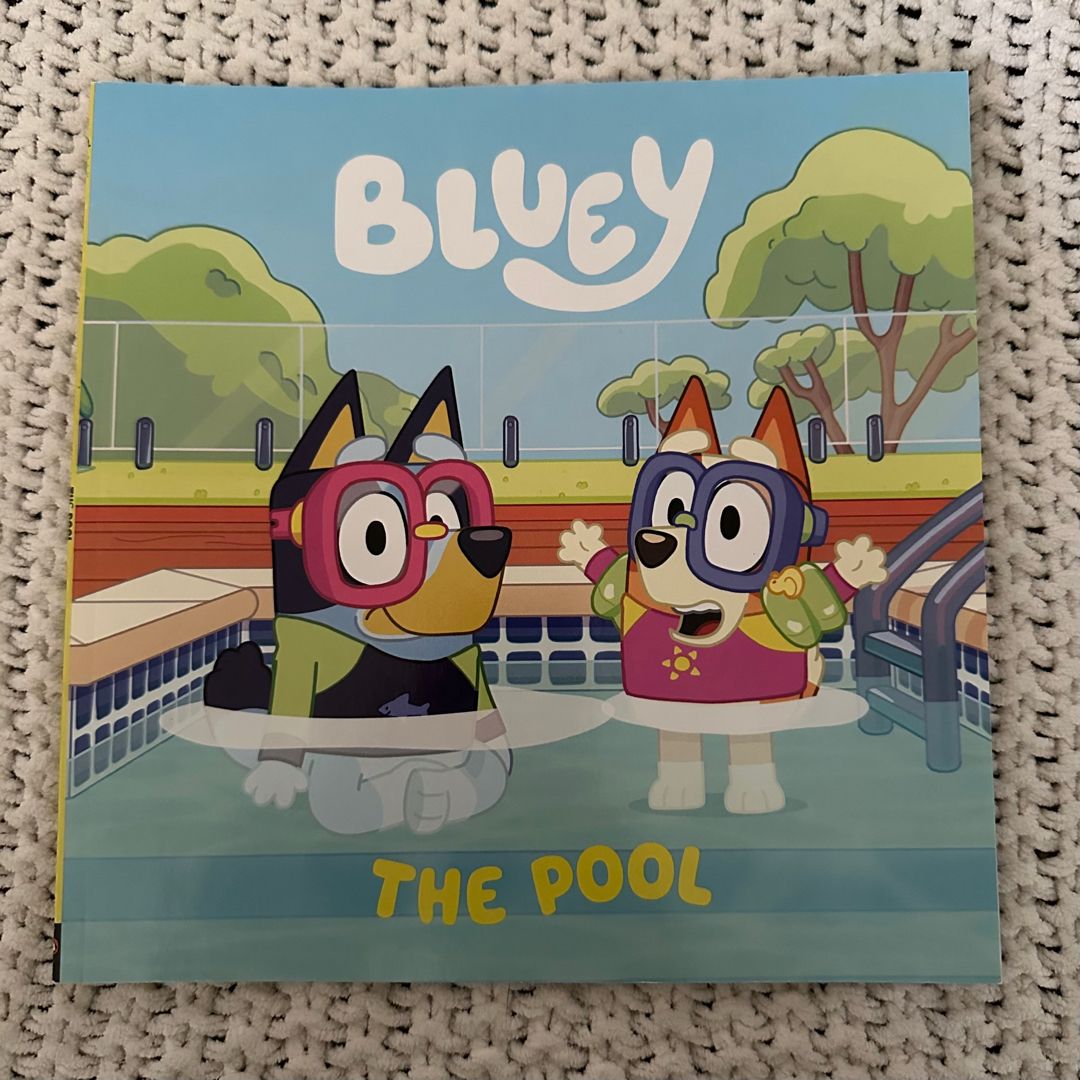 Bluey: the Pool