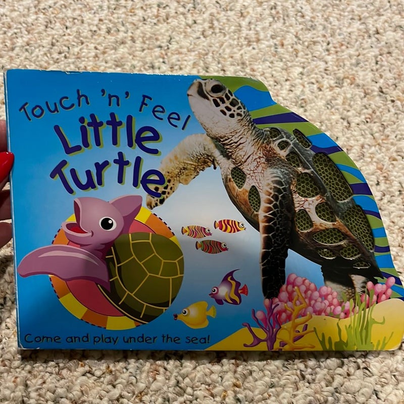 Touch 'n' Feel Little Turtle