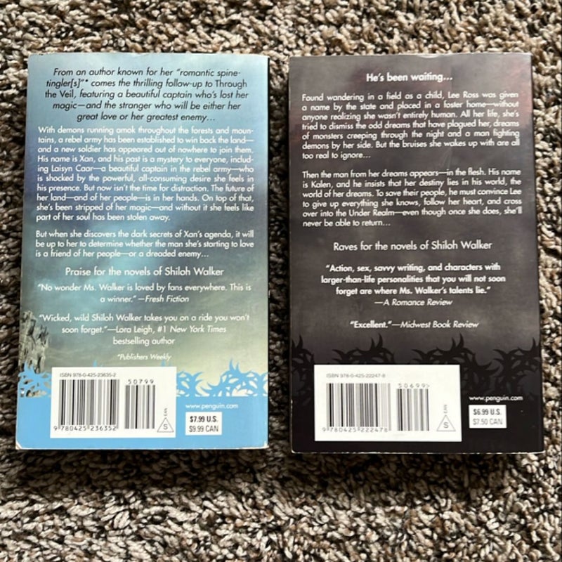 Through the Veil and veil of Shadows complete series
