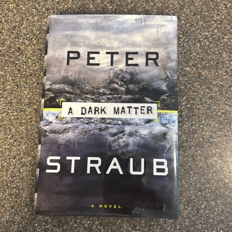 A Dark Matter
