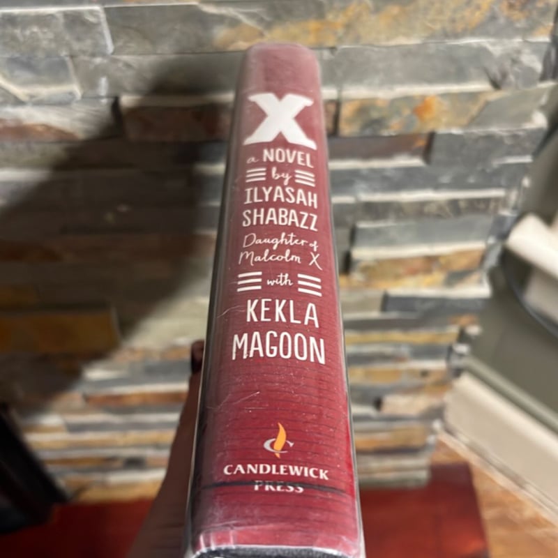 X: a Novel