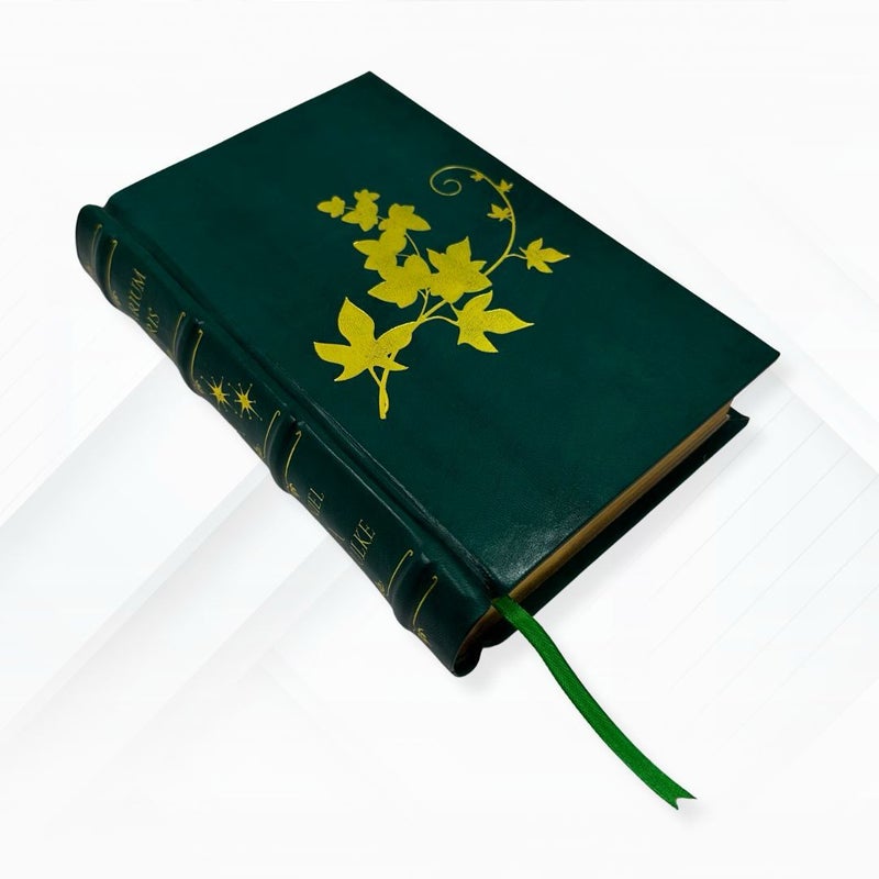Viridarium Umbris by Daniel A. Schulke: Leather-Bound Occult Classic