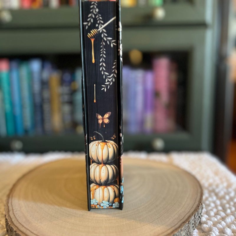 Rise of the Cinder Fae - Unplugged Book box