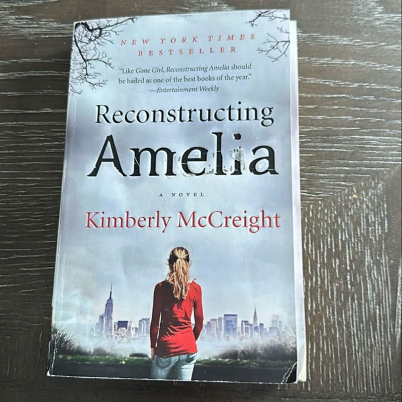 Reconstructing Amelia