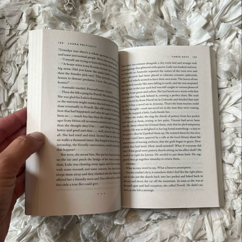 Three Keys by Laura Pritchett, Paperback | Pangobooks