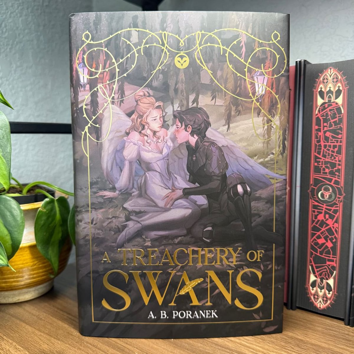 A Treachery of Swans