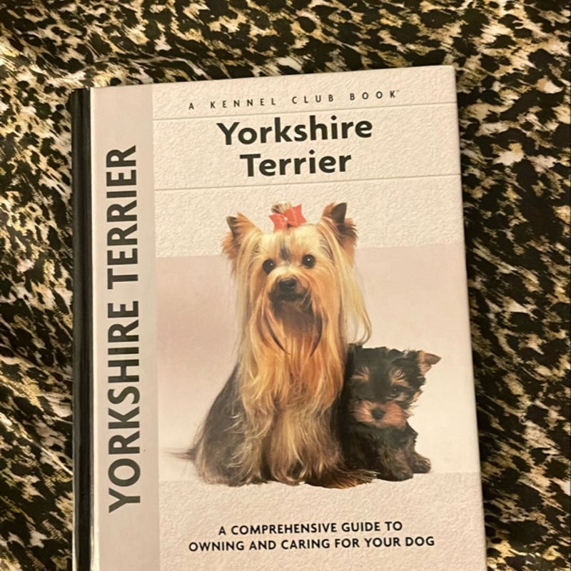 Yorkshire terrier