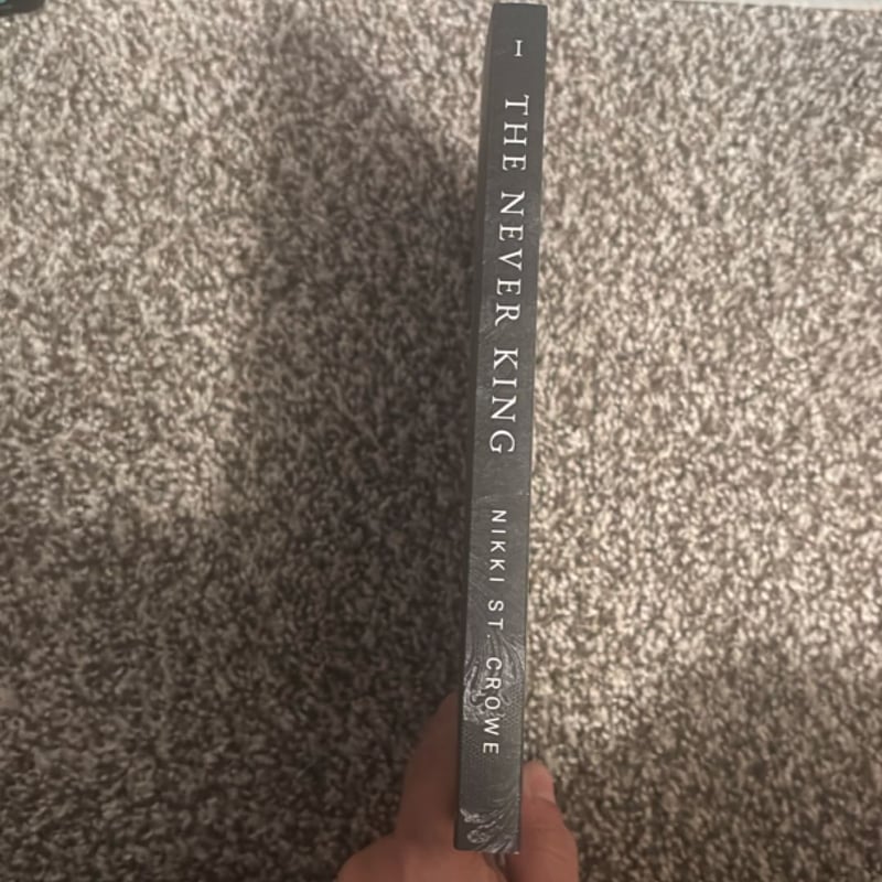 The Never King (Vicious Lost Boys, 1)