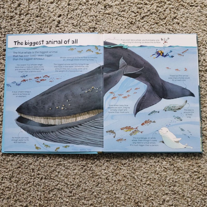 Big Book of Big Animals