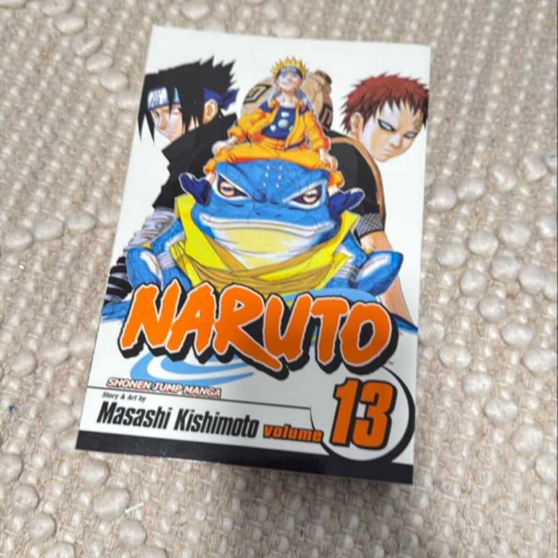 Naruto, Vol. 13