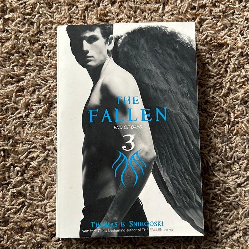 The Fallen 3