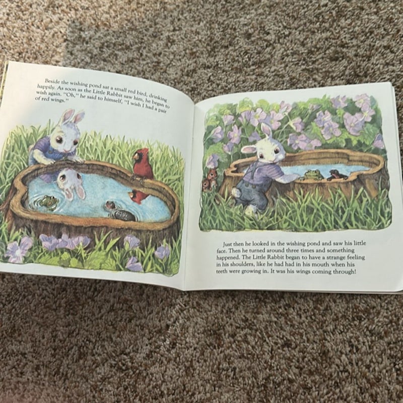 The Little Rabbit Who Wanted Red Wings Book
