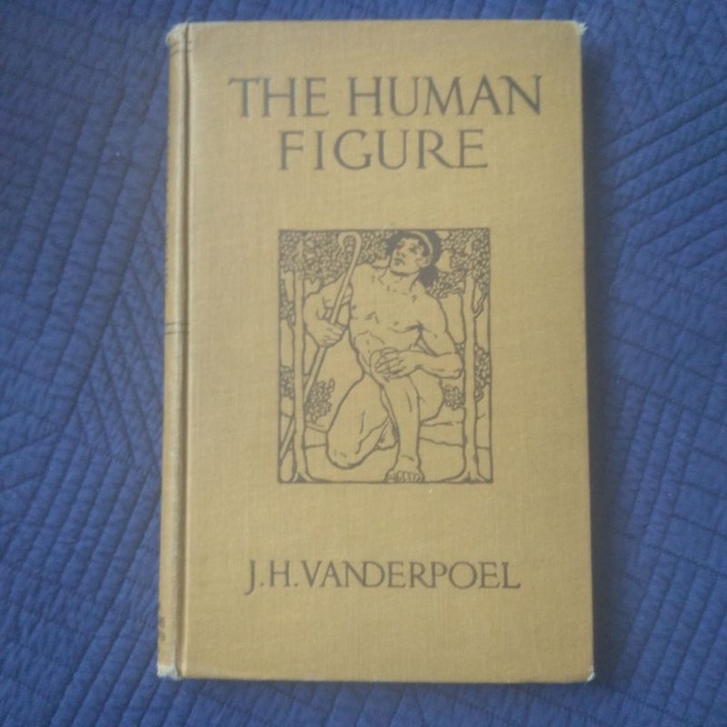 The Human Figure