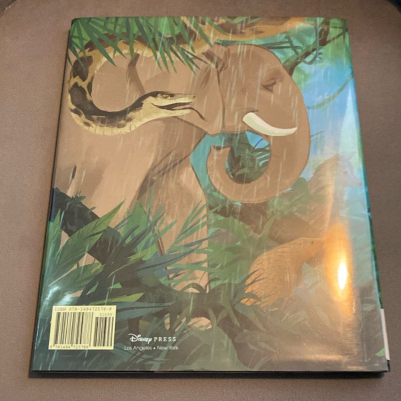 The Jungle Book: Mowgli's Rainy Day