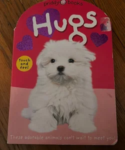 Baby Touch and Feel: Hugs