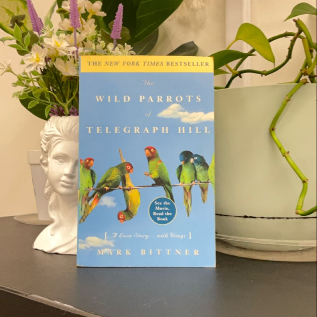 The Wild Parrots of Telegraph Hill