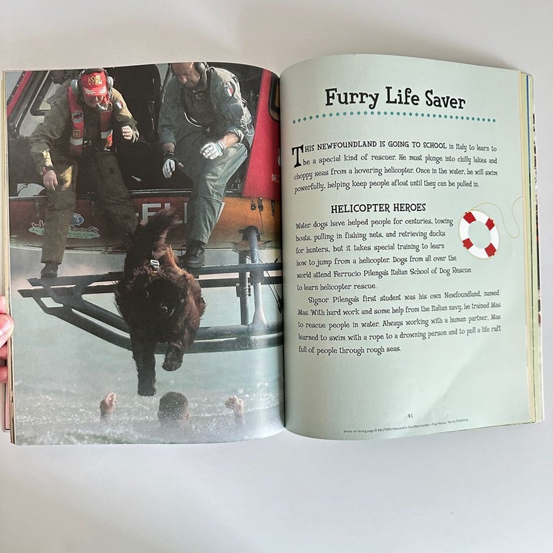 Dog Heroes, Tales of Dramatic Rescues