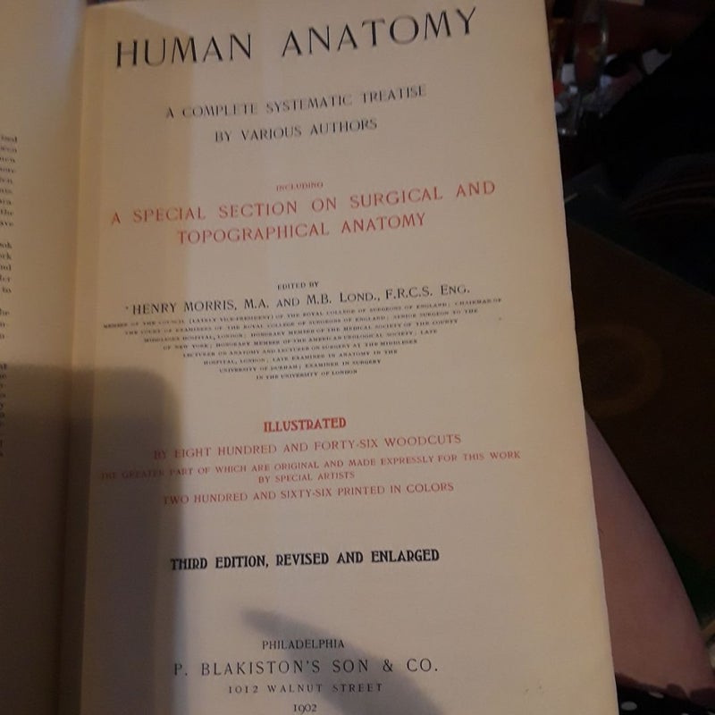 Morris Anatomy human anatomy a complete systematic treatise