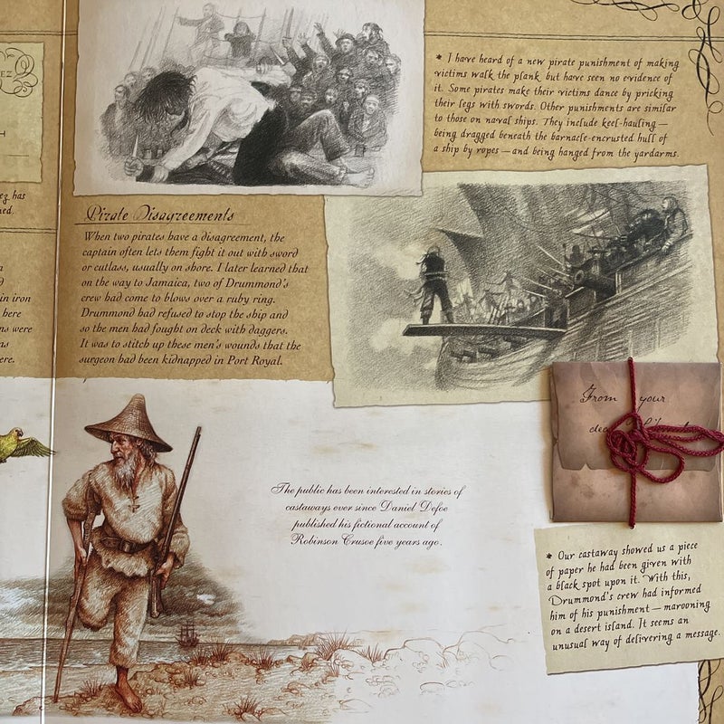 Pirateology