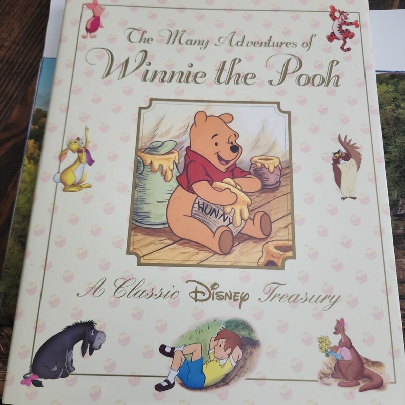 The Many Adventures of Winnie the Pooh