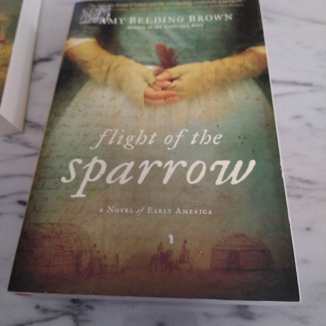 Flight of the Sparrow